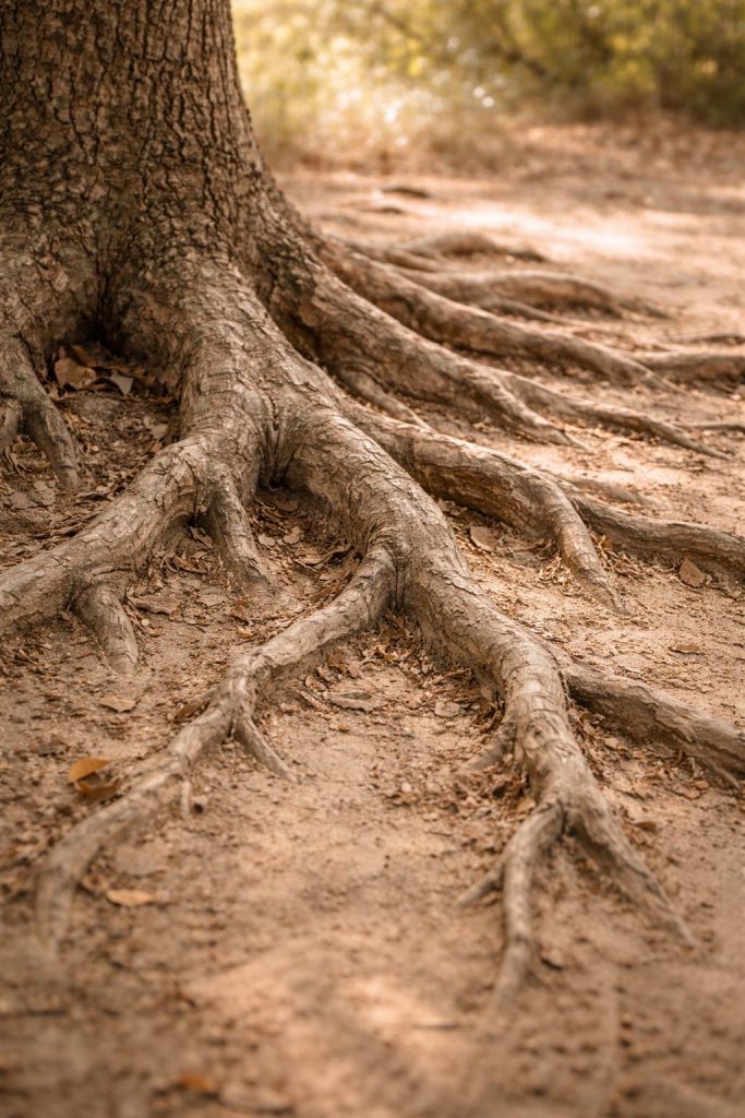 7b837e86 0a3a 40a7 93ca 3e2f4cc3ebdd